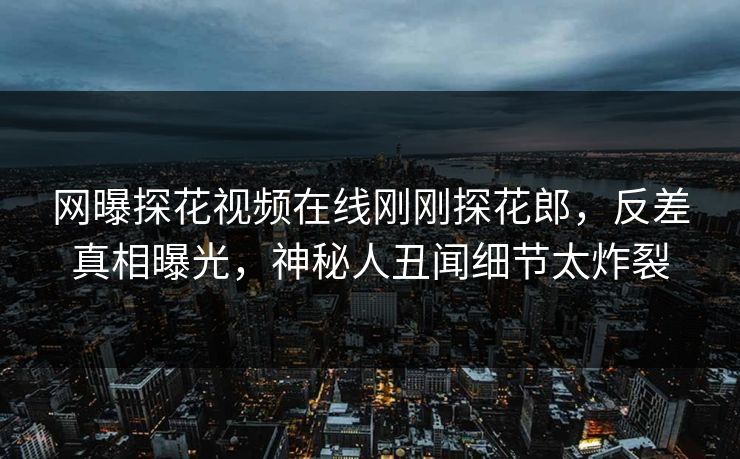 网曝探花视频在线刚刚探花郎，反差真相曝光，神秘人丑闻细节太炸裂