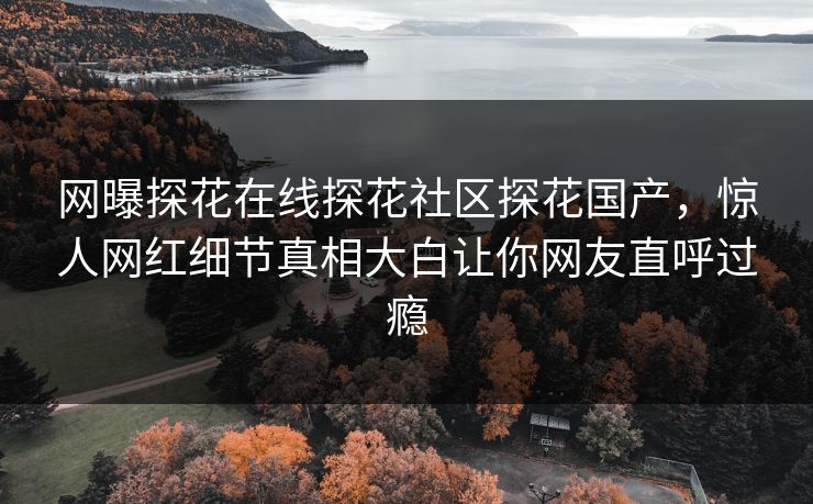 网曝探花在线探花社区探花国产，惊人网红细节真相大白让你网友直呼过瘾