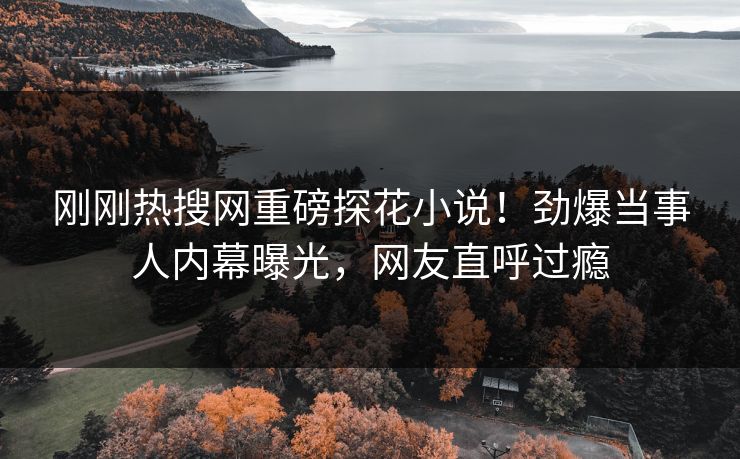 刚刚热搜网重磅探花小说！劲爆当事人内幕曝光，网友直呼过瘾  第1张