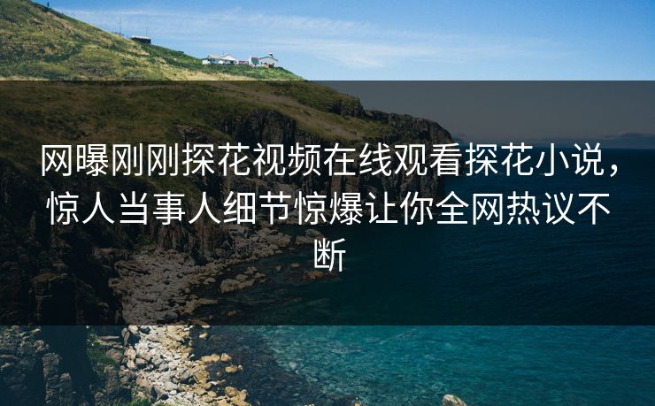 网曝刚刚探花视频在线观看探花小说，惊人当事人细节惊爆让你全网热议不断