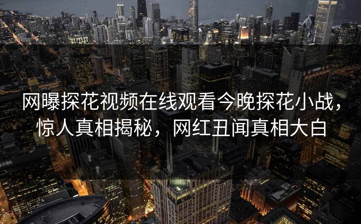 网曝探花视频在线观看今晚探花小战，惊人真相揭秘，网红丑闻真相大白  第1张