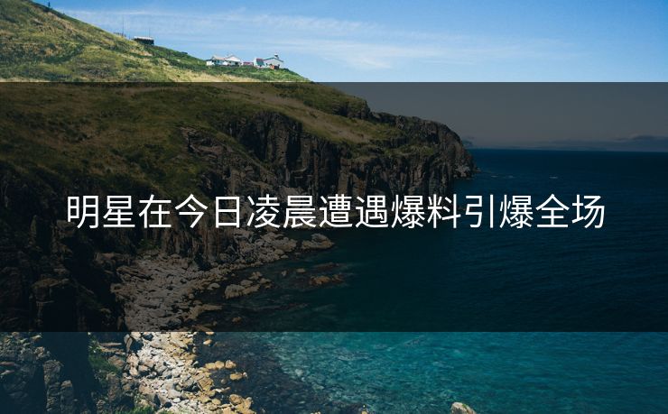 明星在今日凌晨遭遇爆料引爆全场