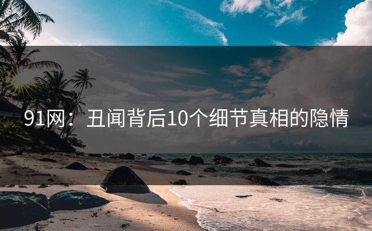 91网：丑闻背后10个细节真相的隐情