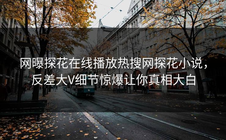 网曝探花在线播放热搜网探花小说，反差大V细节惊爆让你真相大白