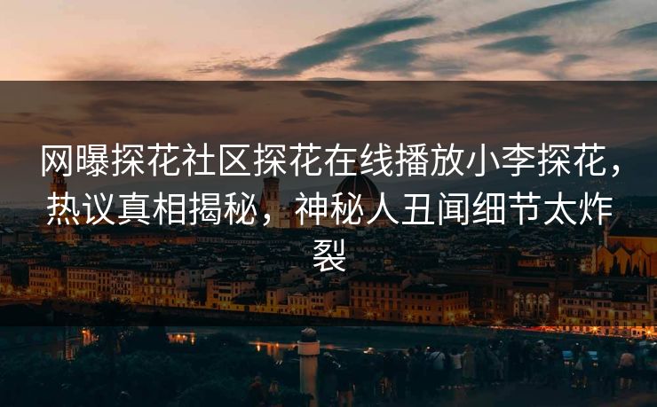网曝探花社区探花在线播放小李探花，热议真相揭秘，神秘人丑闻细节太炸裂