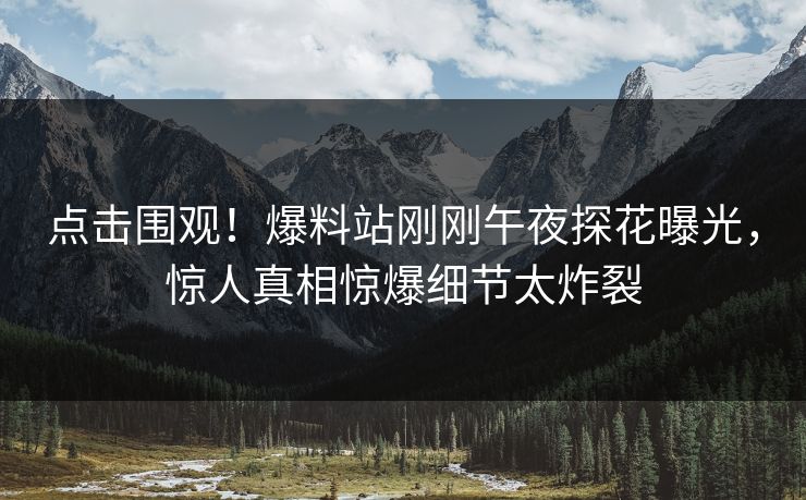 点击围观！爆料站刚刚午夜探花曝光，惊人真相惊爆细节太炸裂