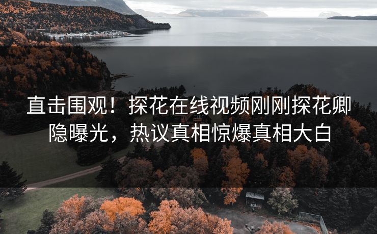 直击围观！探花在线视频刚刚探花卿隐曝光，热议真相惊爆真相大白