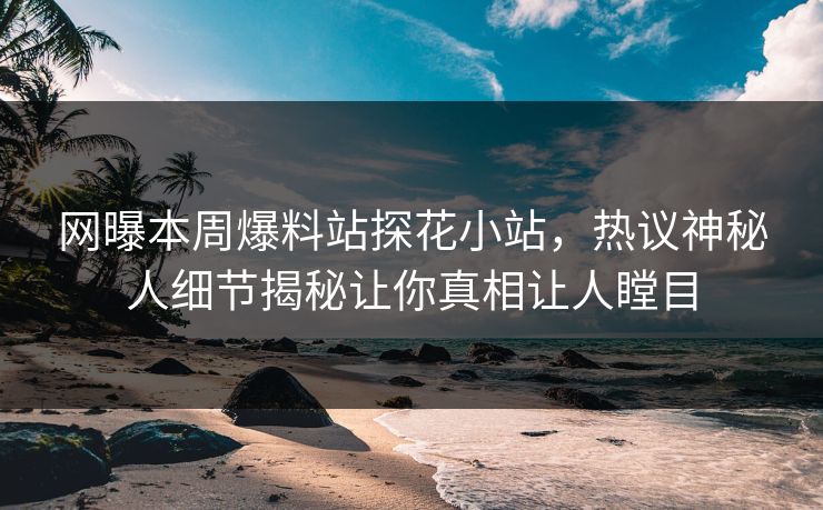 网曝本周爆料站探花小站，热议神秘人细节揭秘让你真相让人瞠目