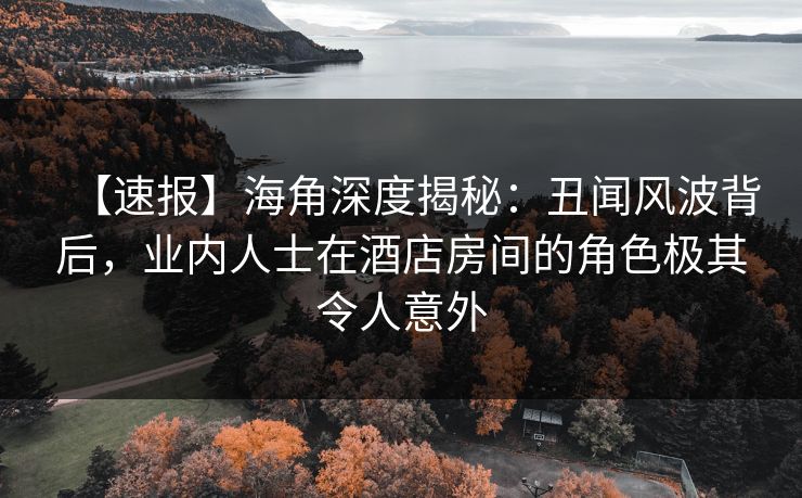 【速报】海角深度揭秘：丑闻风波背后，业内人士在酒店房间的角色极其令人意外  第1张