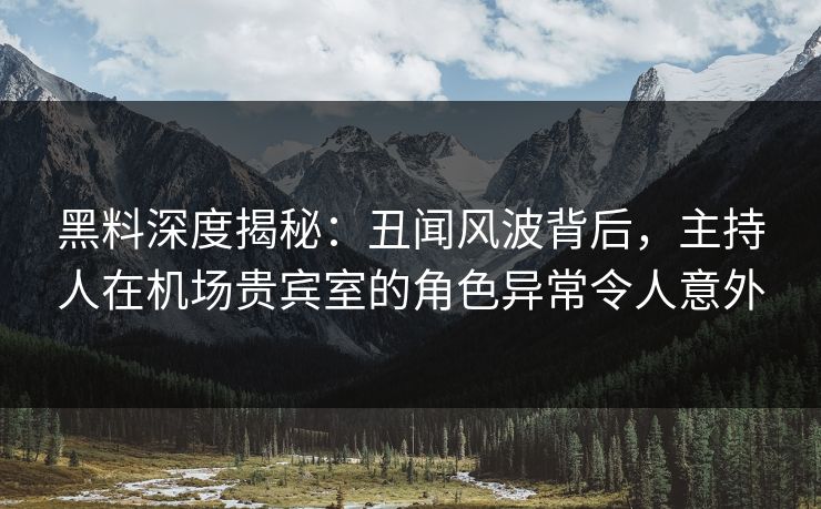 黑料深度揭秘：丑闻风波背后，主持人在机场贵宾室的角色异常令人意外  第1张