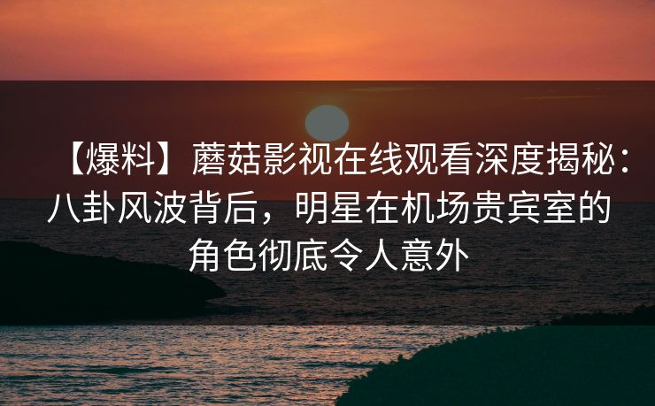 【爆料】蘑菇影视在线观看深度揭秘：八卦风波背后，明星在机场贵宾室的角色彻底令人意外  第1张