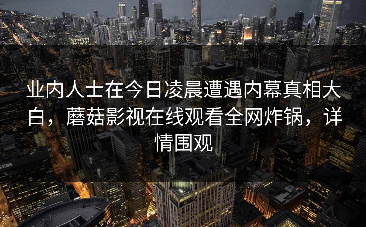 业内人士在今日凌晨遭遇内幕真相大白，蘑菇影视在线观看全网炸锅，详情围观