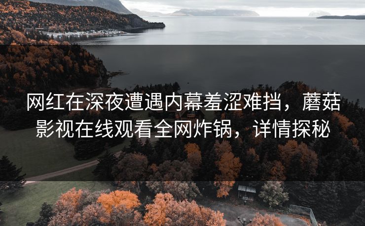 网红在深夜遭遇内幕羞涩难挡，蘑菇影视在线观看全网炸锅，详情探秘