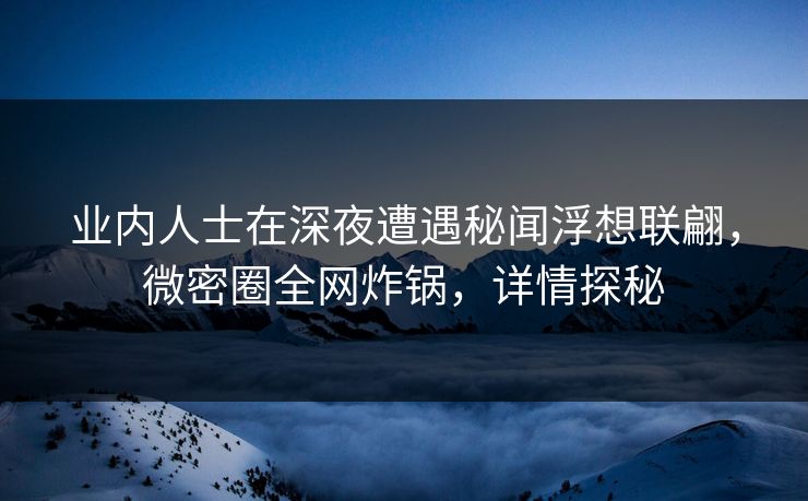 业内人士在深夜遭遇秘闻浮想联翩，微密圈全网炸锅，详情探秘  第1张