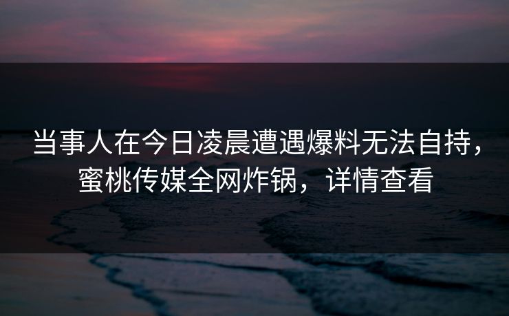 当事人在今日凌晨遭遇爆料无法自持，蜜桃传媒全网炸锅，详情查看  第1张
