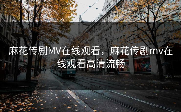 麻花传剧MV在线观看，麻花传剧mv在线观看高清流畅