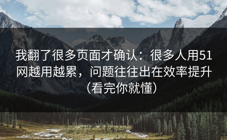我翻了很多页面才确认：很多人用51网越用越累，问题往往出在效率提升（看完你就懂）  第1张